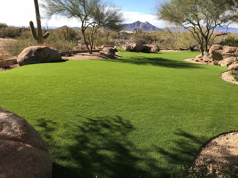 Hasse-Scottsdale-Backyard