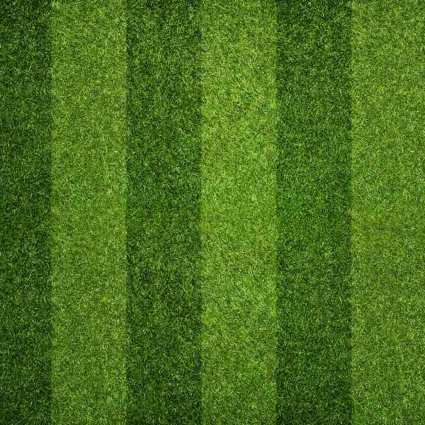 Green grass background featuring vertical stripes in varying shades of green in Las Vegas, NV