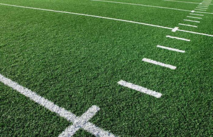 Artificial turf for sports field, NV