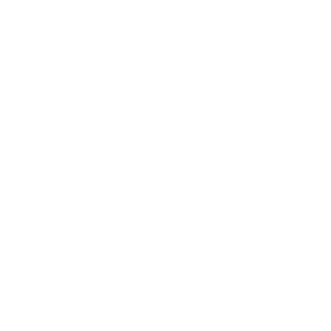 pet icon