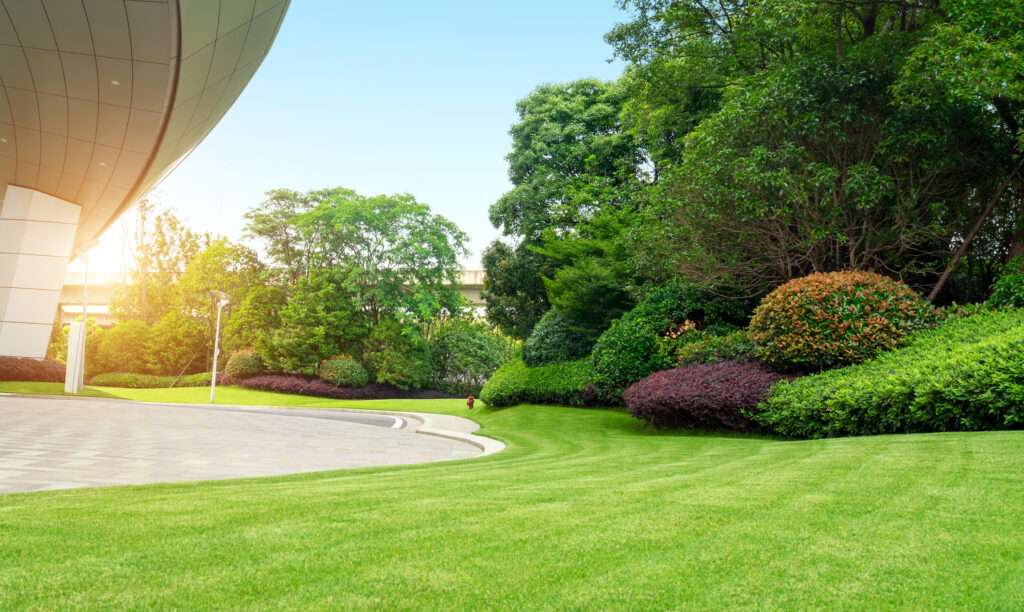 A Vibrant Green Artificial Turf Lawn with a Building in Las Vegas, NV