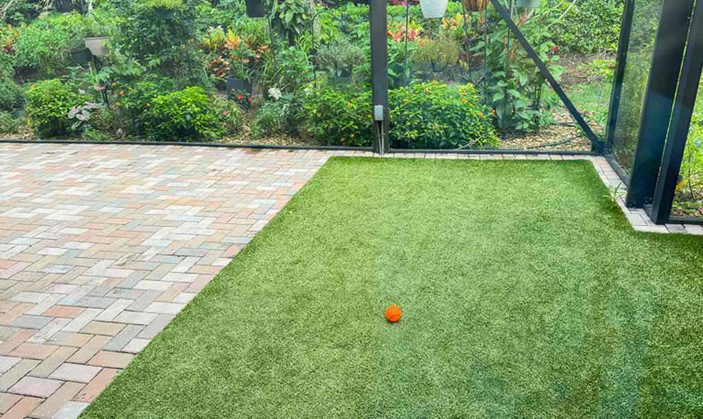 A grassy backyard scene with an orange ball, highlighting artificial grass designs in Las Vegas, NV