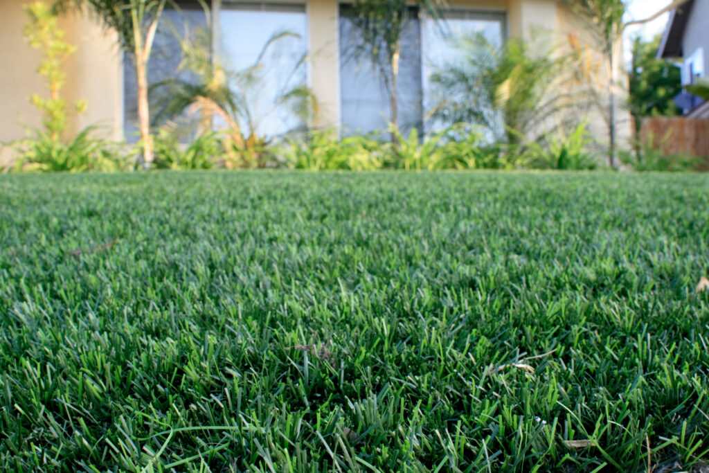Lush green grass in front of a house, highlighting seasonal lawn care in Las Vegas, NV